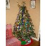 Weihnachtsbaum von Lopez (Bourg en Bresse, France)