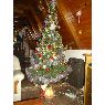 Vanina Díaz's Christmas tree from Argentina