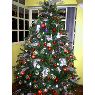 Agostinho Da Silva's Christmas tree from Caracas, Venezuela