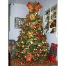 ANDREA's Christmas tree from MESSINA, ITALIA
