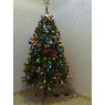 Armando Suarez's Christmas tree from San jose de la rinconada