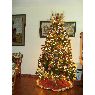 Familia Lopez Garcia's Christmas tree from Puerto la Cruz, Venezuela