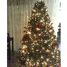 Alexandra's Christmas tree from Venezuela