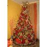 Cecilia Sojo's Christmas tree from Caracas, Venezuela