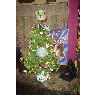 Kami Graham's Christmas tree from USA