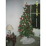 Adriana Antonelli's Christmas tree from Brasil