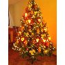 David Bruna A.'s Christmas tree from Puerto de Ilo - Perú