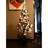 Kajun Kakizaki's Christmas tree from Hiroshima, Japan