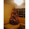 Weihnachtsbaum von Yajaira Tovar (Venezuela)