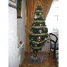 Rafa's Christmas tree from Madrid, España