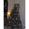 Adri Ruiz's Christmas tree from Valencia, España