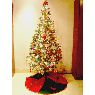 Bincy Varghese's Christmas tree from Faridabad, Haryana India