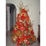 Eliana Bonilla's Christmas tree from Bobare, Venezuela