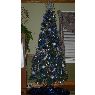 Weihnachtsbaum von Stacy (Greenbrier, TN, USA)
