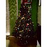 Gemma Celorrio Moya's Christmas tree from Alicante, España