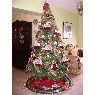Daisy Pacheco's Christmas tree from Caracas, Venezuela