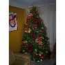 Nohely Arrieche's Christmas tree from Maracaibo, Zulia, Venezuela